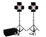 MZ Lighting  MZ-1000-Kit2