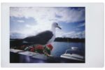 Lomography Lomo'Instant San Remo - Image 5
