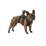 GoPro Fetch Dog Harness Dog POV Camera Mount