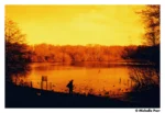Harman Red 125 ISO 135 - Image 5