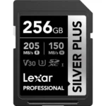 Lexar 256GB Silver