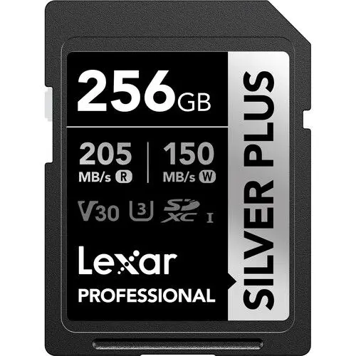 Lexar 256GB Silver