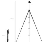 SmallRig 5473 – Compact aluminum tripod with phone clamp - Image 2